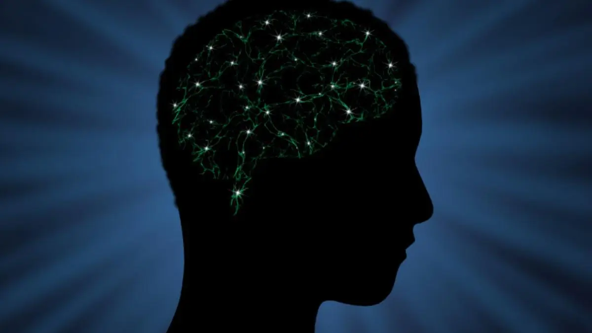 Создан сверхтонкий кибер-чип с 65 тысячами электродов для прямого контакта с мозгом